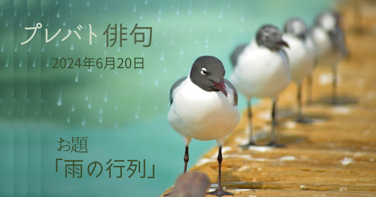 プレバト俳句　お題「雨の行列」